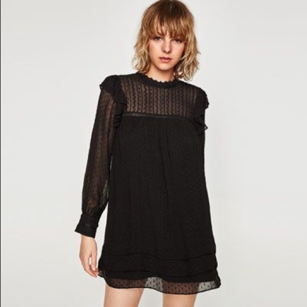 Zara Plumetis Dress